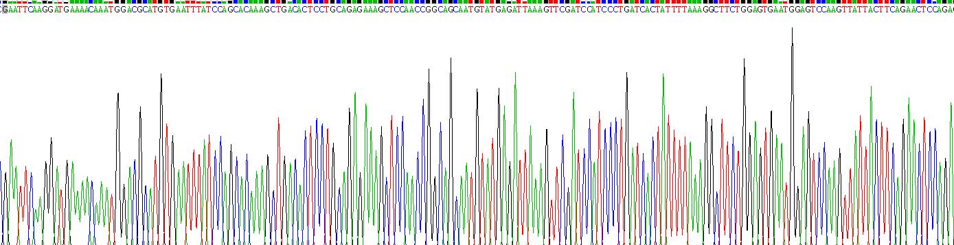 Recombinant Interleukin 7 Receptor (IL7R)