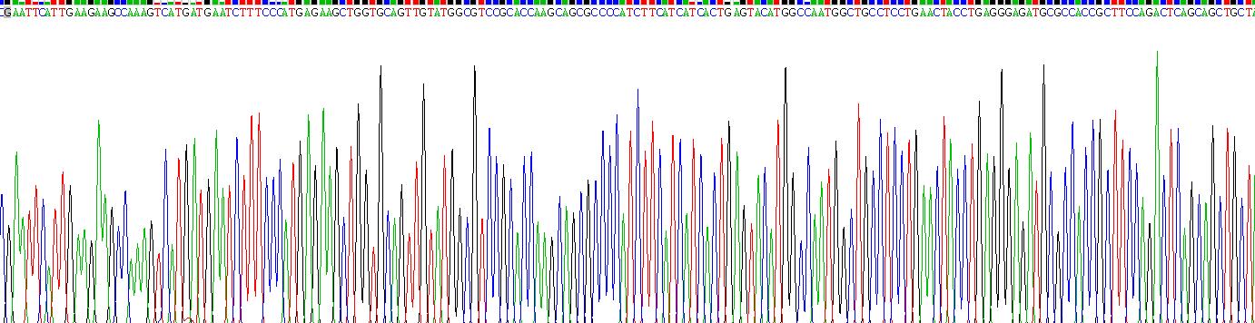 Recombinant Bruton'S Tyrosine Kinase (Btk)