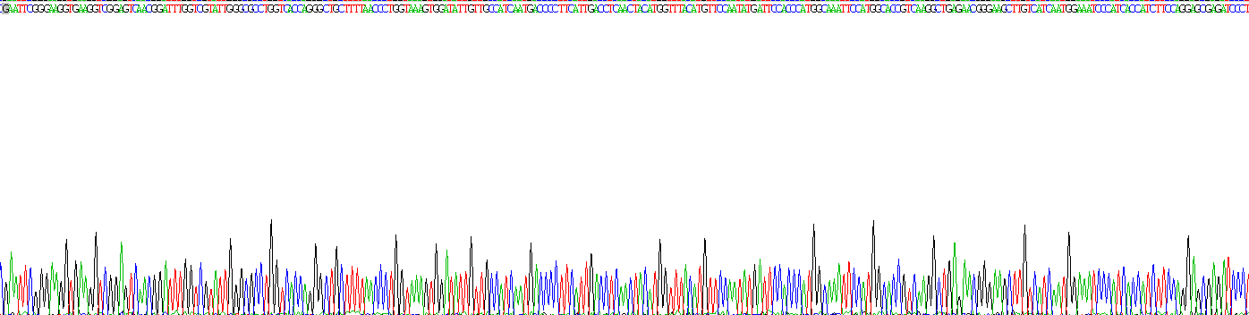 Recombinant Glyceraldehyde-3-Phosphate Dehydrogenase (GAPDH)