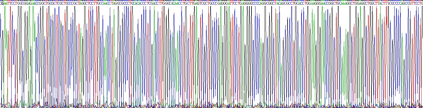 Recombinant Leucine Rich Alpha-2-Glycoprotein 1 (LRG1)