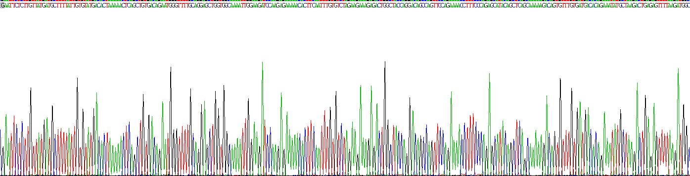 Recombinant Toll Like Receptor 7 (TLR7)