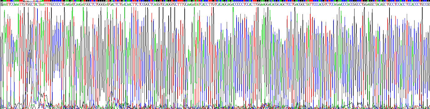 Recombinant Syndecan 1 (SDC1)