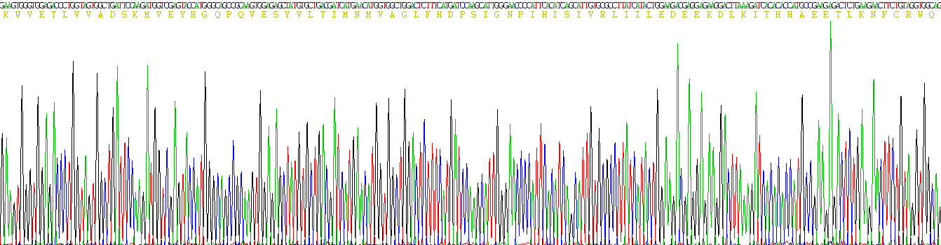 Recombinant A Disintegrin And Metalloproteinase With Thrombospondin 7 (ADAMTS7)