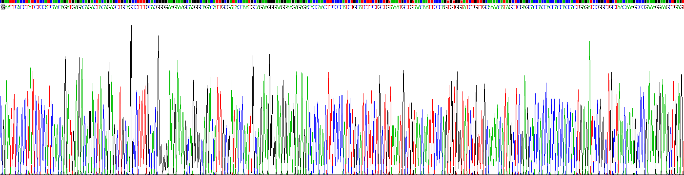 Recombinant Hepcidin (Hepc)