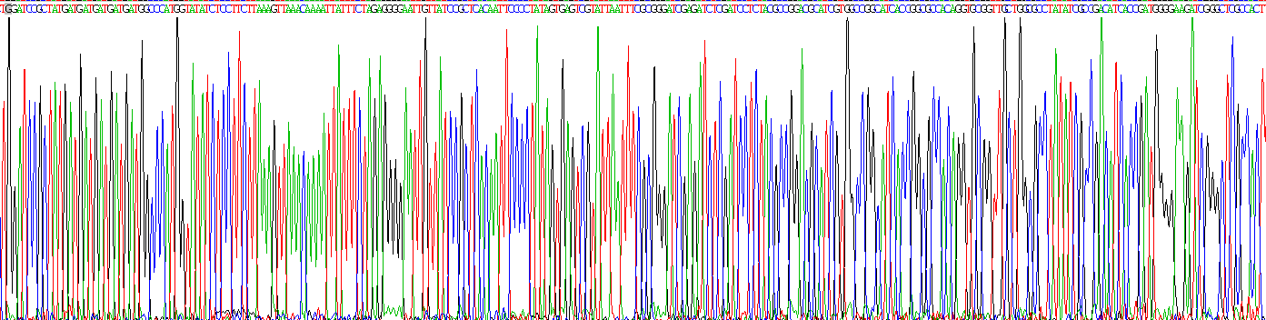 Recombinant Interleukin 33 (IL33)