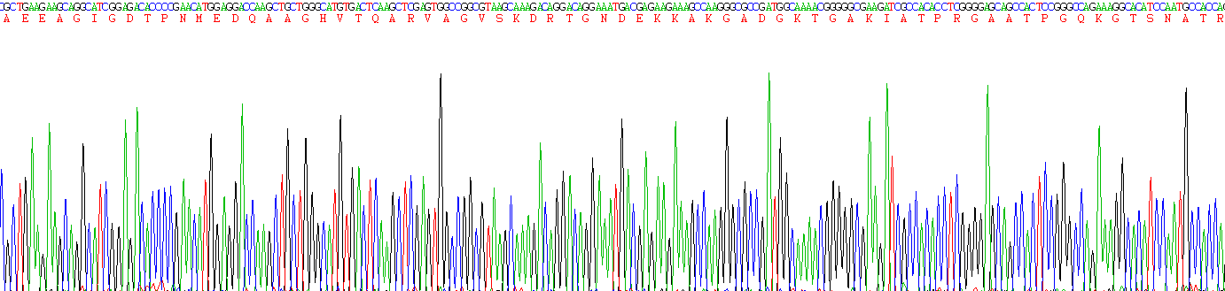 Recombinant Tau Protein (MAPT)