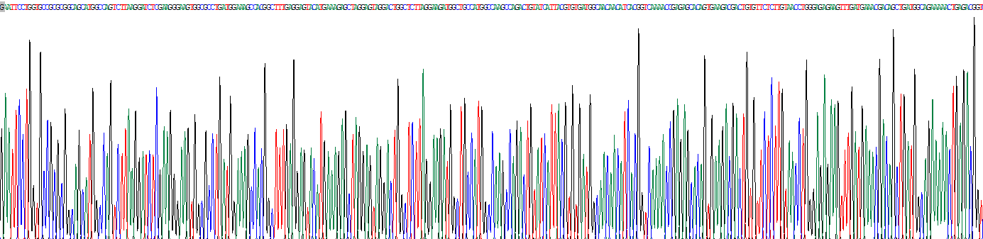 Recombinant Fatty Acid Binding Protein 5 (FABP5)