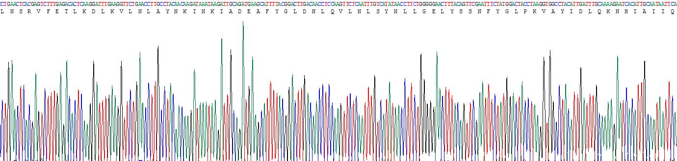 Recombinant Toll Like Receptor 5 (TLR5)