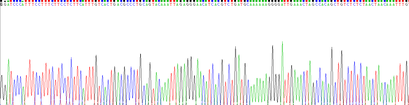 Recombinant Apolipoprotein B (APOB)