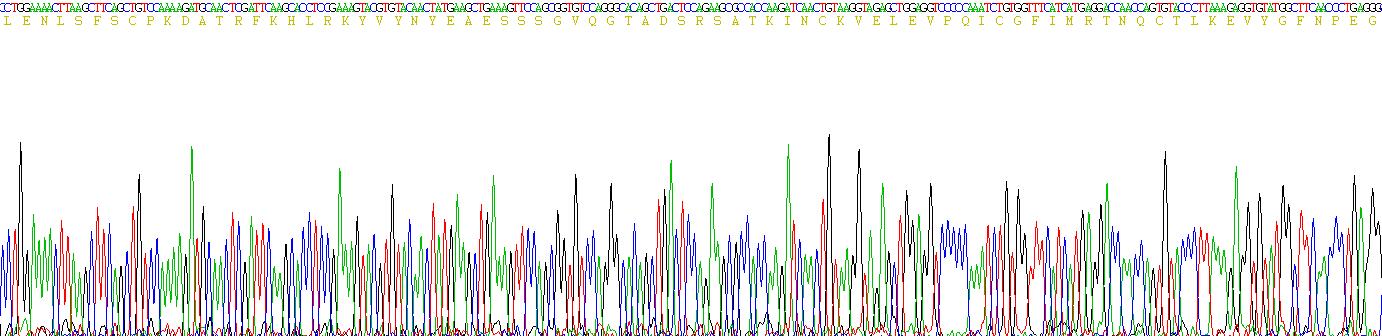 Recombinant Apolipoprotein B (APOB)