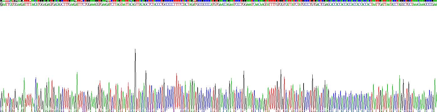 Recombinant Interleukin 8 Receptor Beta (IL8Rb)