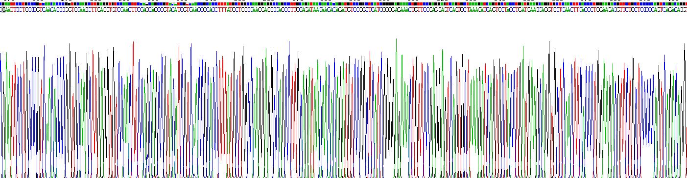 Recombinant Interleukin 22 (IL22)