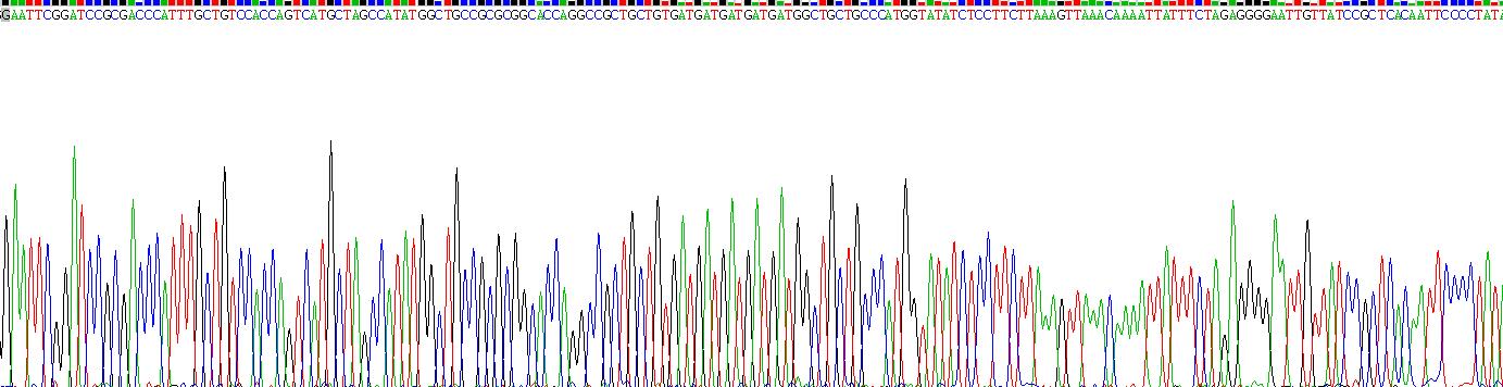 Recombinant Interleukin 22 (IL22)