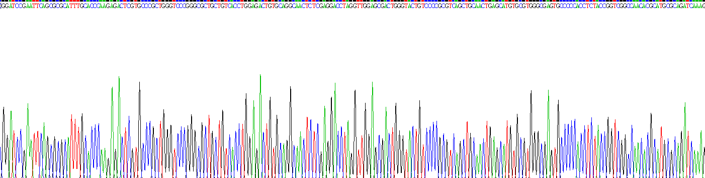 Recombinant Growth Differentiation Factor 15 (GDF15)