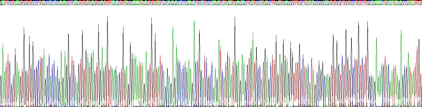 Recombinant Transferrin (TF)