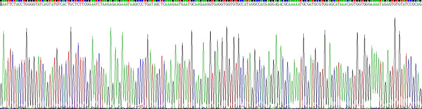 Recombinant Transferrin (TF)