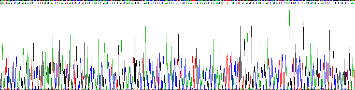 Recombinant Retinoid X Receptor Alpha (RXRa)