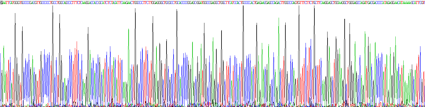 Recombinant Survivin (Surv)