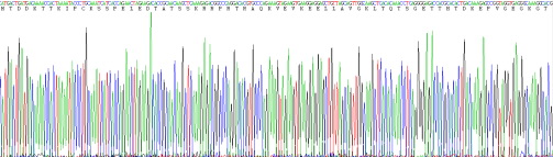 Recombinant Ki-67 Protein (Ki-67)