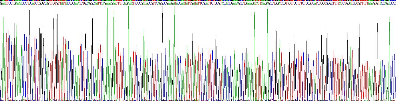 Recombinant Interleukin 20 (IL20)