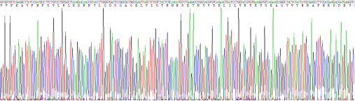 Recombinant Platelet Derived Growth Factor Receptor Beta (PDGFRb)