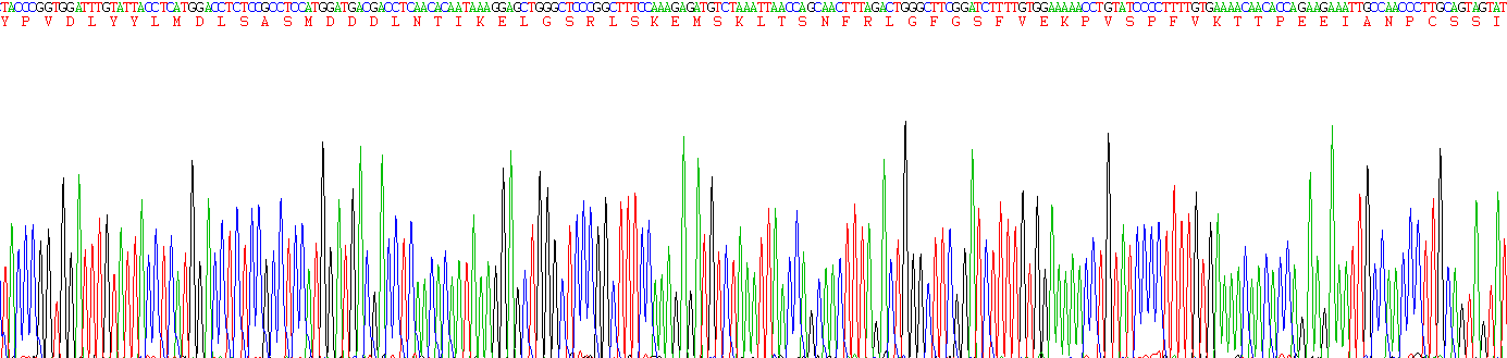 Recombinant Integrin Beta 6 (ITGb6)