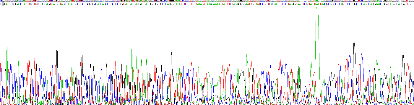 Recombinant Growth Differentiation Factor 11 (GDF11)