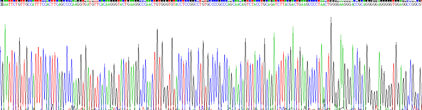 Recombinant Growth Differentiation Factor 11 (GDF11)