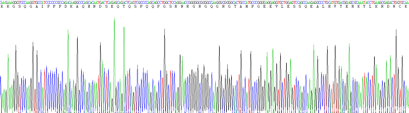 Recombinant Gremlin 1 (GREM1)