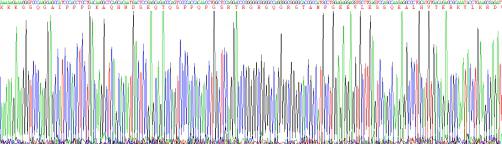 Recombinant Gremlin 1 (GREM1)