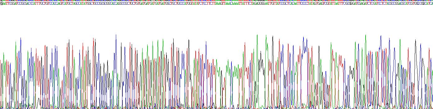 Recombinant Gremlin 1 (GREM1)