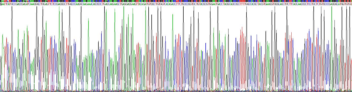 Recombinant Noggin (NOG)