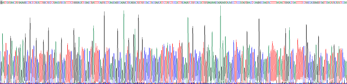 Recombinant Collagen Type XV (COL15)
