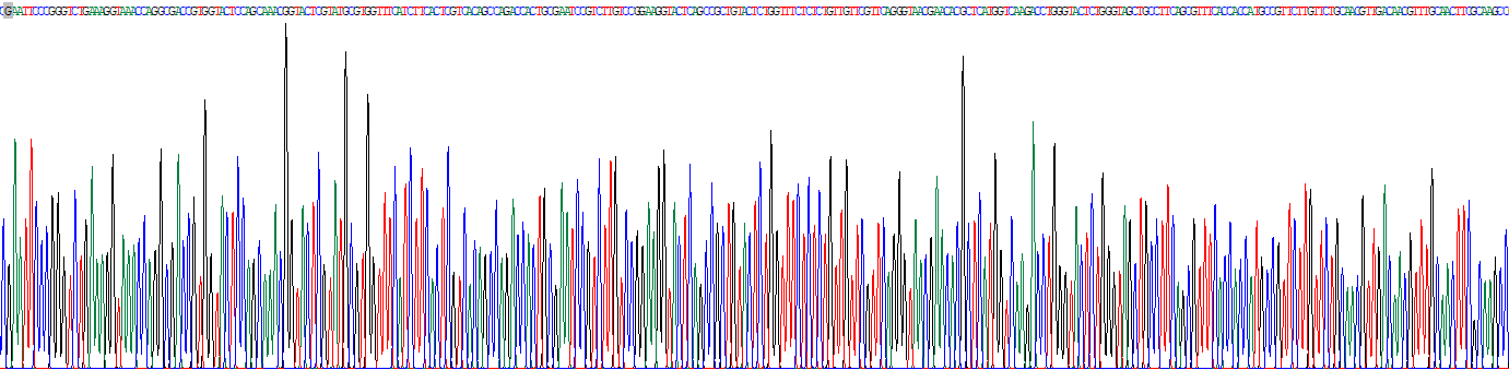 Recombinant Collagen Type IV Alpha 3 (COL4a3)