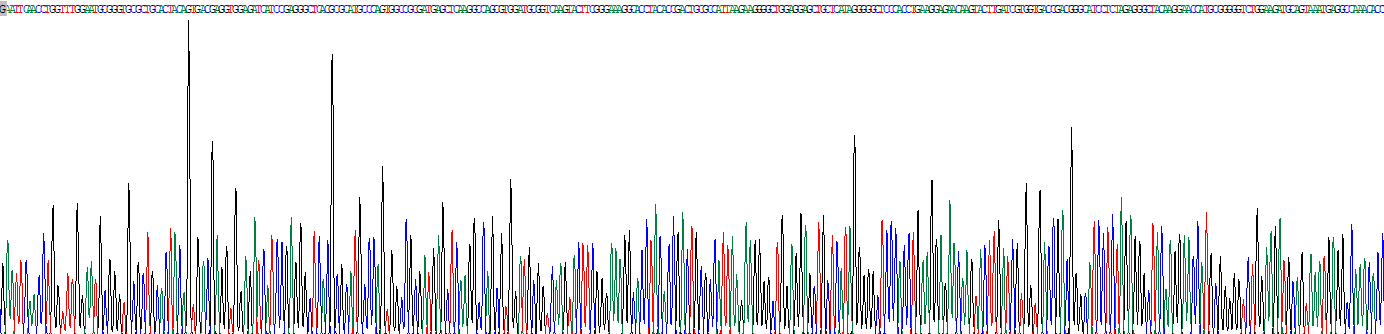 Recombinant Collagen Type VI Alpha 1 (COL6a1)