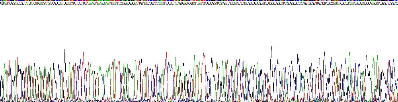 Recombinant HLA Class II Histocompatibility Antigen, DR Alpha Chain (HLA-DRA)