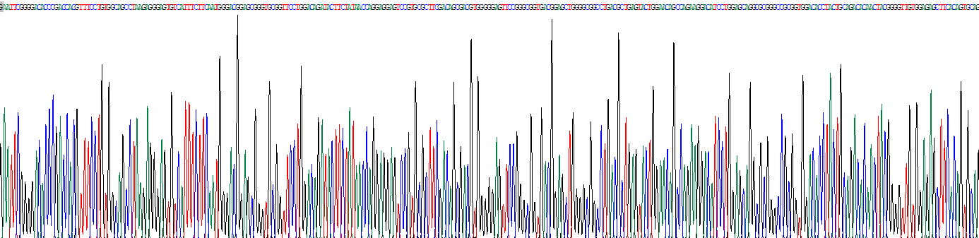 Recombinant HLA Class II Histocompatibility Antigen, DRB1 Beta Chain (HLA-DRB1)