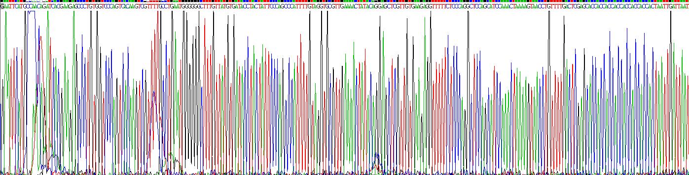 Recombinant Neuregulin 4 (NRG4)