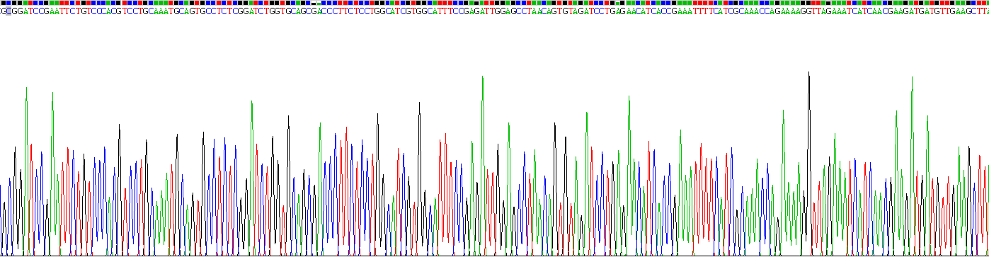 Recombinant Tropomyosin Receptor Kinase B (TrkB)