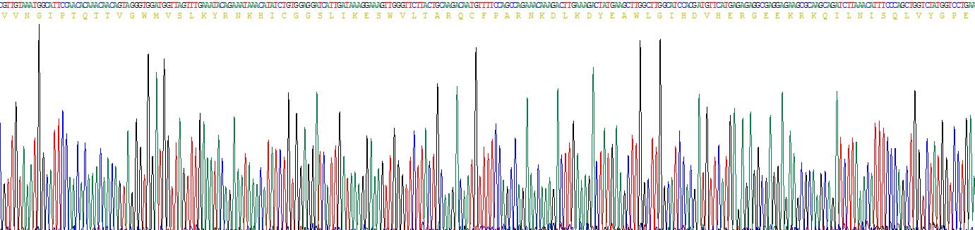 Recombinant C-Met (MET)