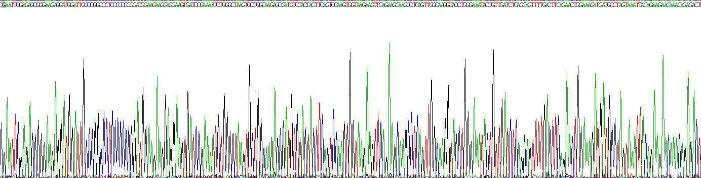 Recombinant Methyl CpG Binding Domain Protein 2 (MBD2)