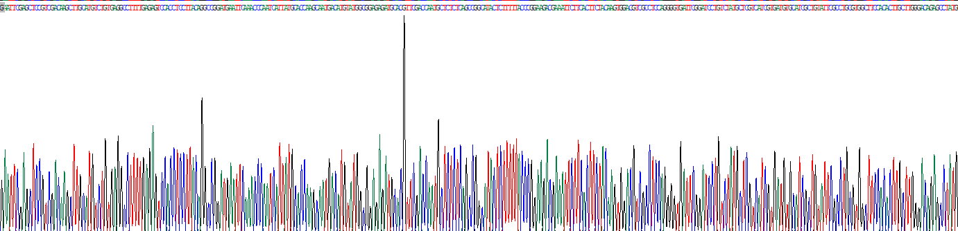 Recombinant Occludin (OCLN)