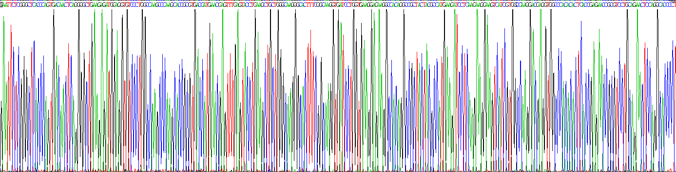 Recombinant Protein Kinase B Alpha (PKBa)