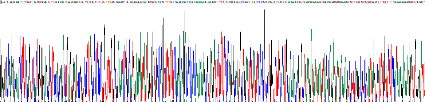 Recombinant Ubiquitin Specific Peptidase 7 (USP7)