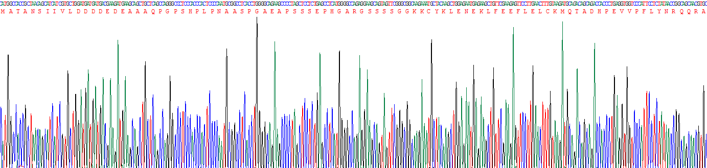 Recombinant Death Associated Protein 6 (DAP6)