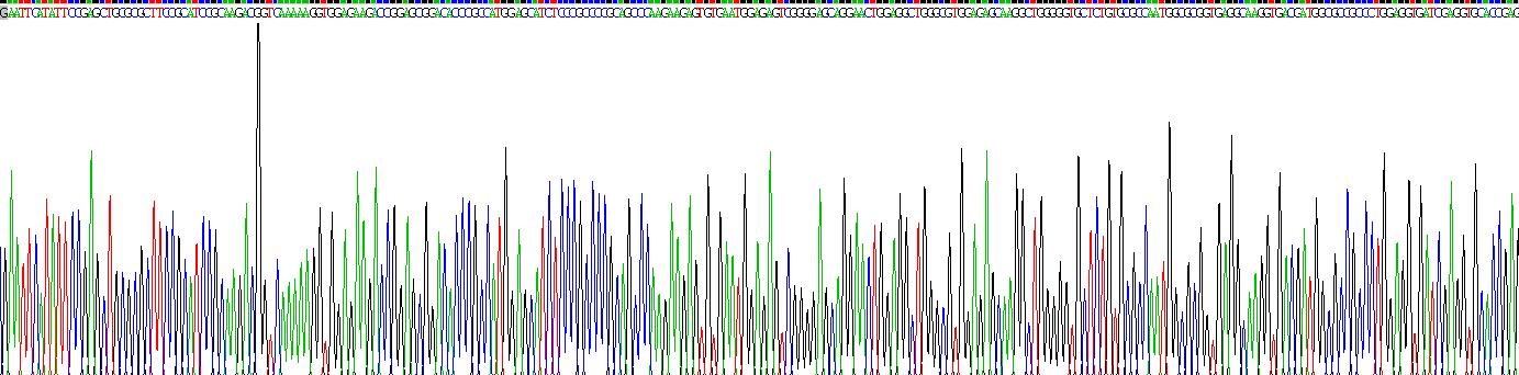 Recombinant 5-Hydroxytryptamine Receptor 1A (HTR1A)