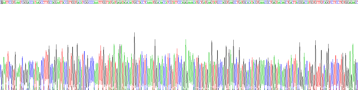 Recombinant Acyl Coenzyme A Oxidase 1, Palmitoyl (ACOX1)