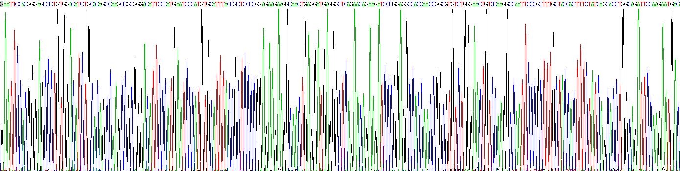 Recombinant Antithrombin (AT)