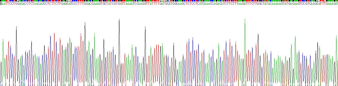 Recombinant Aromatase (ARO)