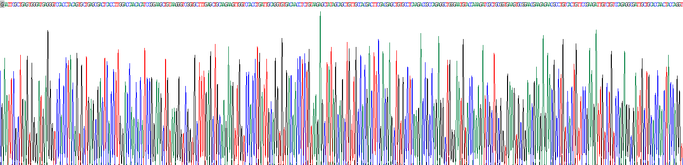 Recombinant Ectonucleotide Pyrophosphatase/Phosphodiesterase 2 (ENPP2)